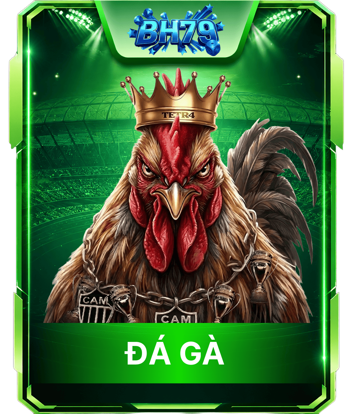 bh79 vip.png